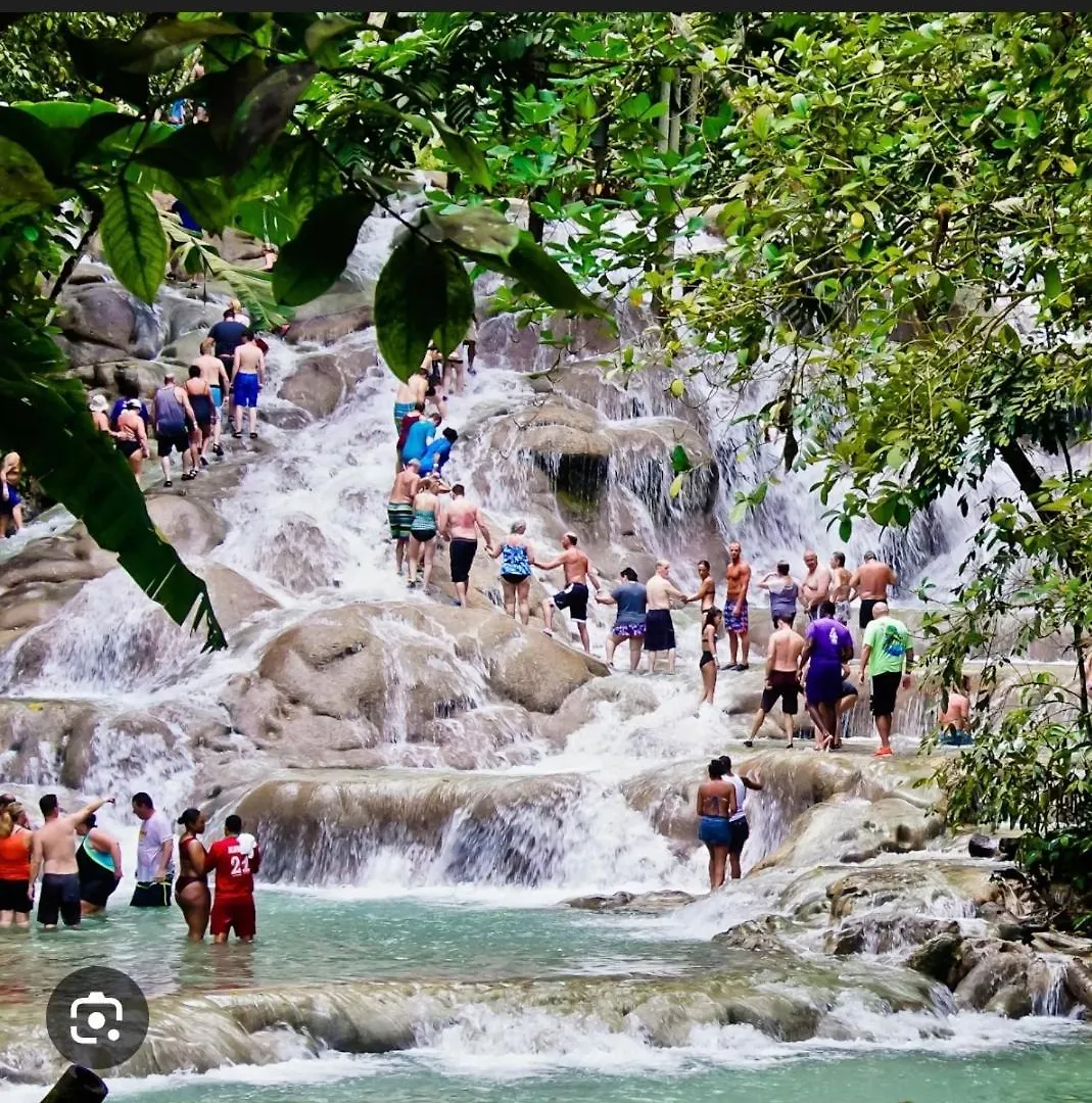 Royal Palm Luxury Villas Ocho Rios